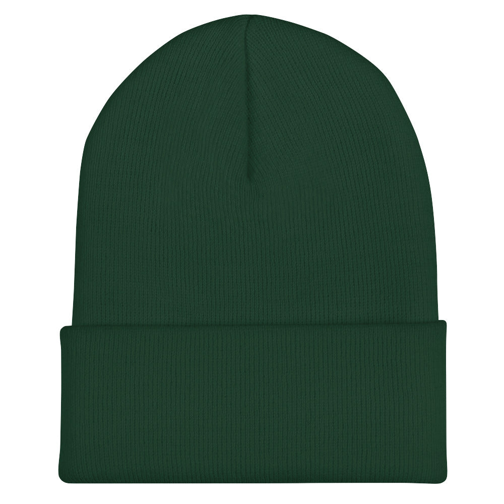 Cuffed Beanie - Yupoong Y1501KC
